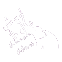 لوگوی هوش مالی راین